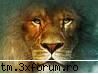 inscriere sezon fifa 2007 inter: satu rdsbanda: megaani: